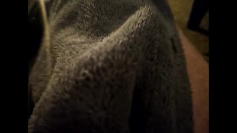 Snapshot of dilf232323 chatting on 01-16-25, 06:35 Dilf online show from 01-16-25, 06:35