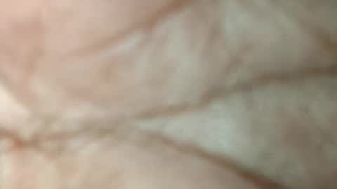 dyno online show from 11-17-25, 05:52