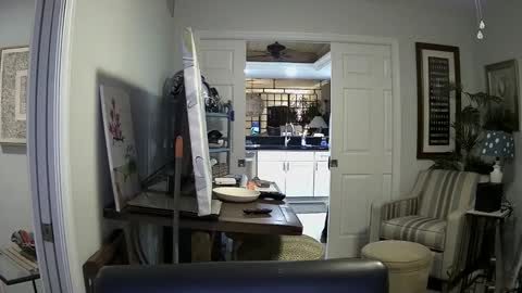 DirtkPitt Fun guy working online show from 01-04-25, 02:35