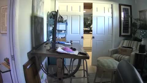 DirtkPitt Fun guy working online show from 02-01-25, 06:40