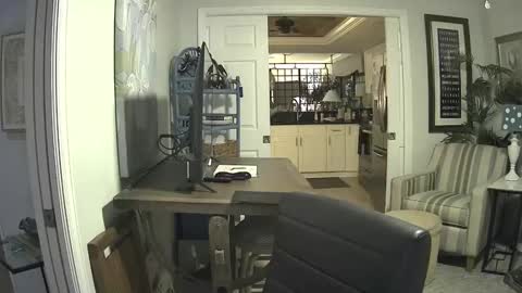 DirtkPitt Fun guy working online show from 02-09-25, 06:01