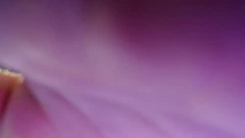 Snapshot of dirty_kiss69 chatting on 02-17-25, 11:31 Dirty Kiss69 online show from 02-17-25, 11:31