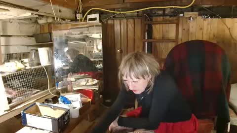 wendy - - - NO RECORDING for distribution.... Only personal use. online show from 01-12-26, 10:48