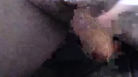 dirtyadventurer online show from 01-22-25, 06:41