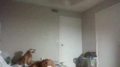 dirtyxxxdoll online show from 12-22-25, 07:38