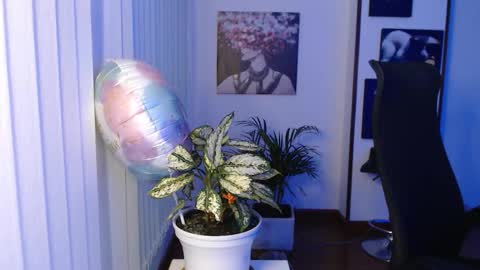 Snapshot of divineisis chatting on 11-28-25, 10:07 Hera online show from 11-28-25, 10:07