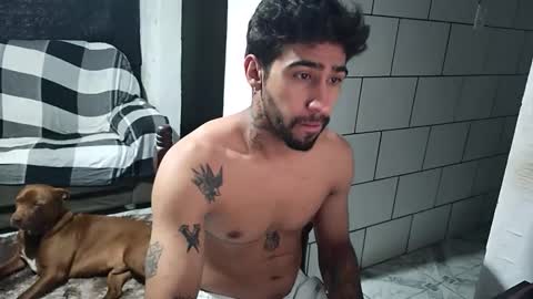 Snapshot of dmacedo96 chatting on 03-17-26, 11:08 AmigodotadoZL online show from 03-17-26, 11:08