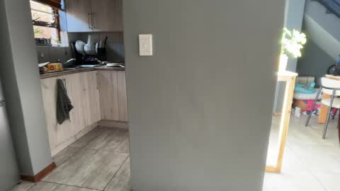 Dmitri online show from 04-28-26, 08:30