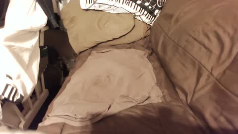 do4you2 online show from 01-18-25, 02:23