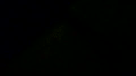 Snapshot of doby2020 chatting on 12-16-25, 11:10 Doby online show from 12-16-25, 11:10