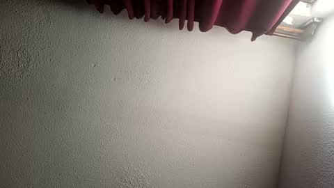 MrPepino online show from 12-15-24, 02:16