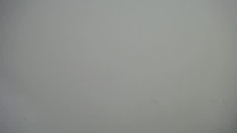 dominic_sofia online show from 09-16-25, 10:33