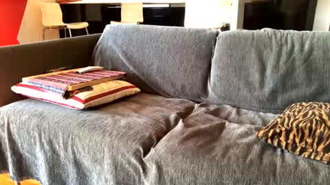 Alfredo online show from 02-04-25, 10:21