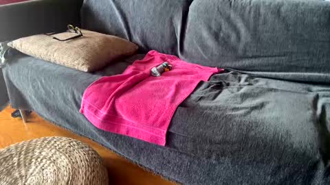 Alfredo online show from 09-11-25, 11:10