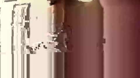 Snapshot of donnie206 chatting on 01-06-26, 06:17 donnie206 online show from 01-06-26, 06:17