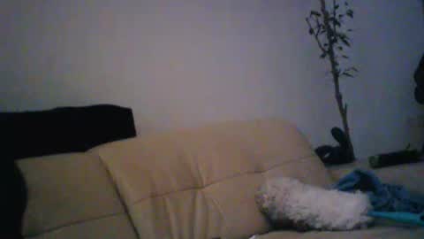 Snapshot of donosus chatting on 01-18-26, 01:31 donosus online show from 01-18-26, 01:31