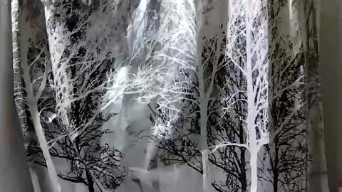 donschlongs online show from 12-28-24, 07:01