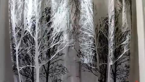 donschlongs online show from 01-21-25, 08:00