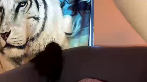 dove_love22 online show from 10-17-25, 09:06