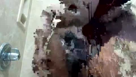 MrPirated online show from 01-18-26, 01:59