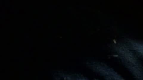 Dreadedted online show from 11-24-25, 08:14