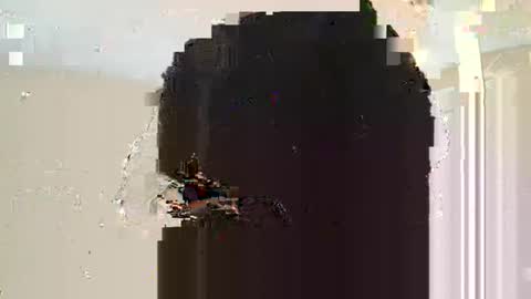 Snapshot of dreadstarr chatting on 03-10-25, 11:10 Dread online show from 03-10-25, 11:10