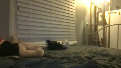 ur dream girl online show from 01-12-25, 06:49