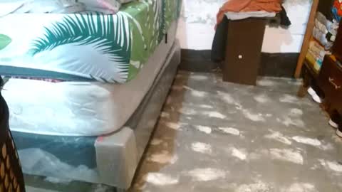 dreamreal online show from 03-27-26, 11:32