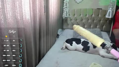 Snapshot of dreams_sophi chatting on 07-01-26, 07:35 Sophia online show from 07-01-26, 07:35