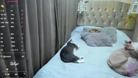Snapshot of dreams_sophi chatting on 07-10-26, 11:40 Sophia online show from 07-10-26, 11:40