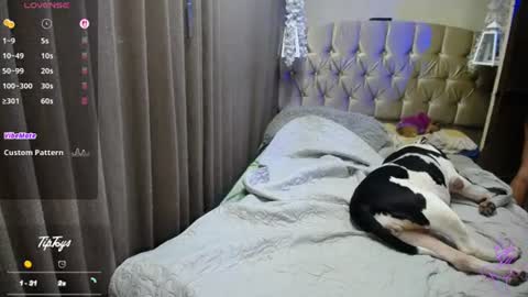 Snapshot of dreams_sophi chatting on 07-16-26, 01:22 Sophia online show from 07-16-26, 01:22