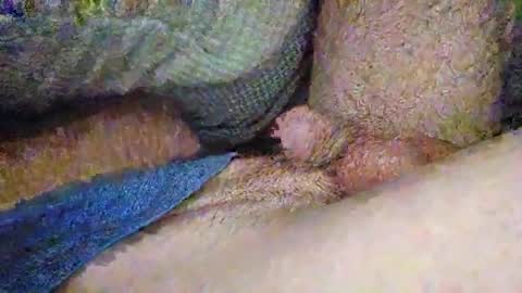 Snapshot of drew8649890274 chatting on 11-03-25, 03:41 drew8649890274 online show from 11-03-25, 03:41