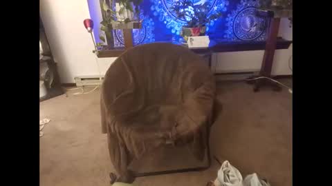 Snapshot of dribblez420 chatting on 10-26-25, 03:12 dribblez420 online show from 10-26-25, 03:12