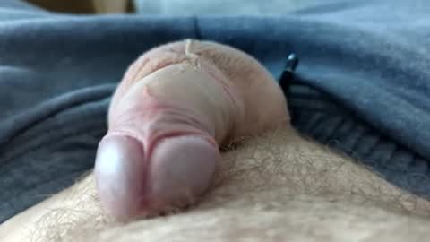 drippingrabbit online show from 04-21-26, 06:01