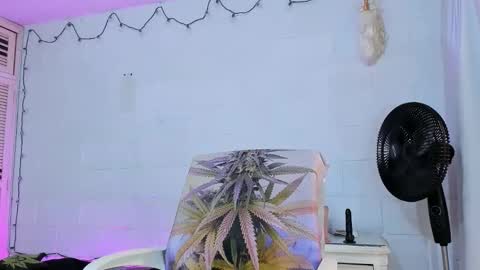 drippyorlove online show from 04-21-26, 01:28