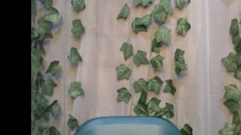 linda online show from 09-14-25, 08:08