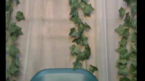 linda online show from 09-28-25, 11:04