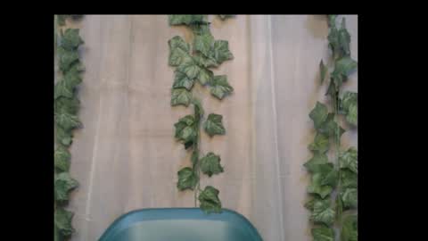 linda online show from 10-06-25, 02:09