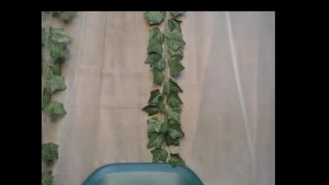 linda online show from 10-15-25, 12:55