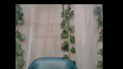 linda online show from 10-30-25, 01:12