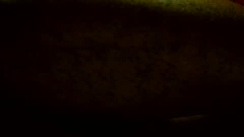 B1GW1LLYDAGOAT online show from 07-17-26, 02:51