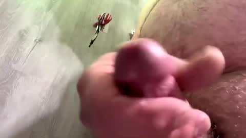 Snapshot of droppingloads82 chatting on 12-30-24, 04:53 droppingloads82 online show from 12-30-24, 04:53