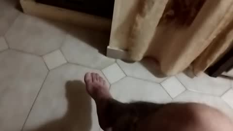 dthedog12 online show from 09-23-25, 09:51