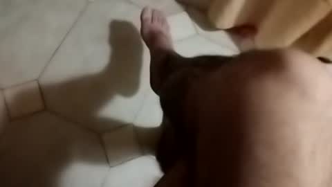 dthedog12 online show from 09-30-25, 08:58