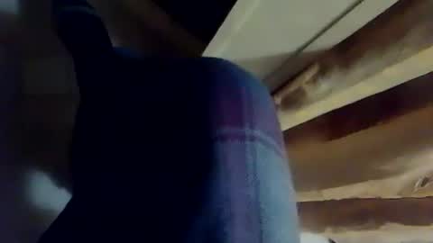 dthedog12 online show from 12-03-25, 10:41