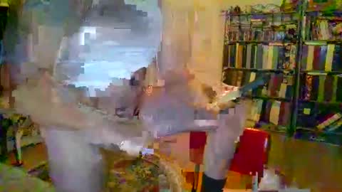 Snapshot of duallines2 chatting on 03-14-26, 05:35 duallines2 online show from 03-14-26, 05:35
