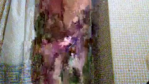 Snapshot of dublindub12 chatting on 03-02-25, 10:03 dublindub12 online show from 03-02-25, 10:03