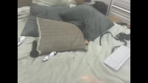 Snapshot of dudebrocuz69 chatting on 02-18-26, 11:55 Dude online show from 02-18-26, 11:55