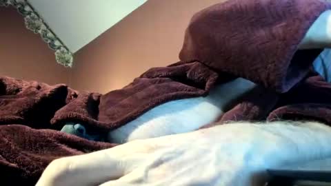 Doug online show from 11-16-25, 03:01