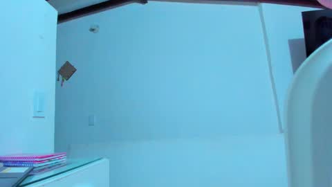 Snapshot of dulce_acosta chatting on 03-04-25, 03:37 Dulce online show from 03-04-25, 03:37